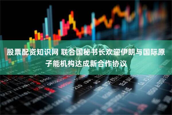 股票配资知识网 联合国秘书长欢迎伊朗与国际原子能机构达成新合作协议