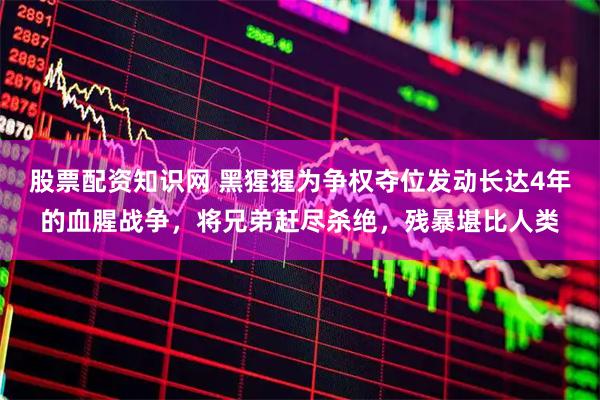 股票配资知识网 黑猩猩为争权夺位发动长达4年的血腥战争，将兄弟赶尽杀绝，残暴堪比人类